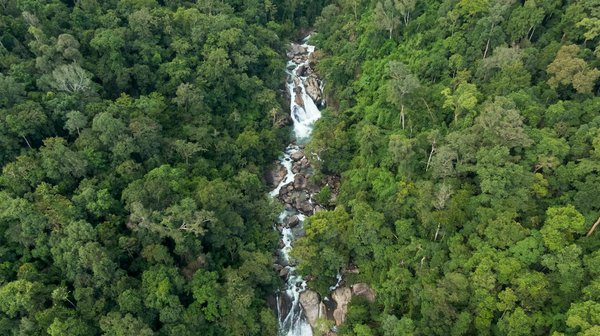 Les meilleures scpi en 2024 : investir malgré l'instabilité immobilière