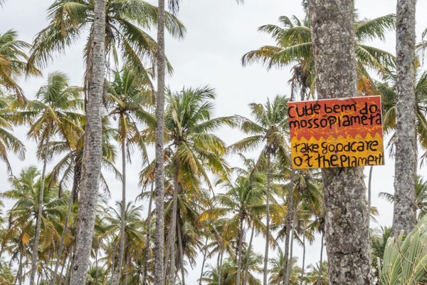 Des caves à cigares élégantes pour une conservation optimale